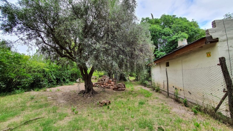 FINCA CON CASA SOBRE AV. LIBERTADOR 3.000