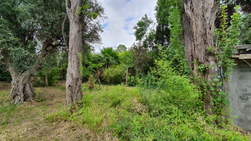 FINCA CON CASA SOBRE AV. LIBERTADOR 3.000