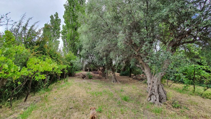 FINCA CON CASA SOBRE AV. LIBERTADOR 3.000