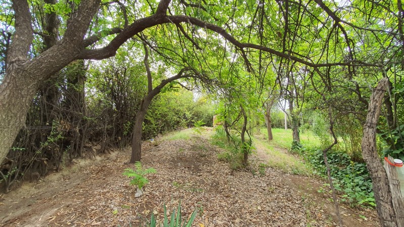 FINCA CON CASA SOBRE AV. LIBERTADOR 3.000