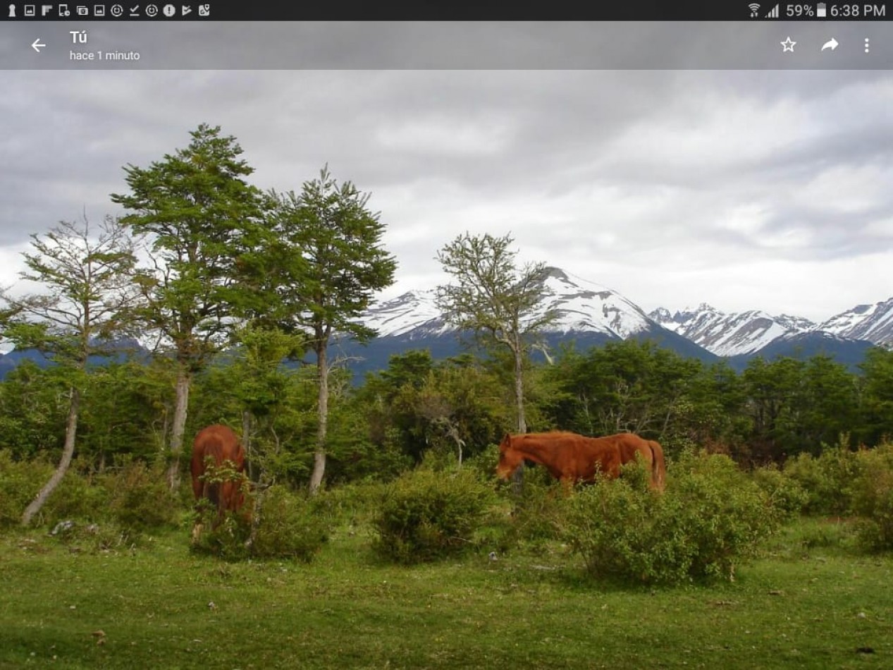 Estancia en la Patagonia Argentina