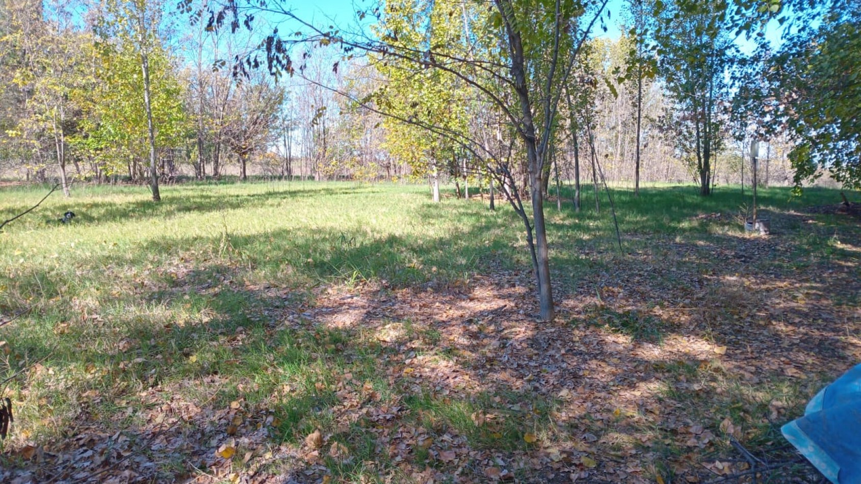 PROPIEDAD EN EL DISTRITO DE JAIME PRATS