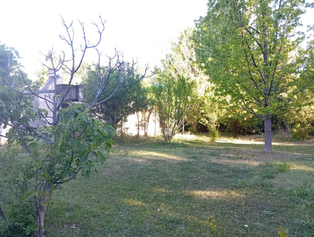 Propiedad en Villa 25 de Mayo: casa con amplio terreno