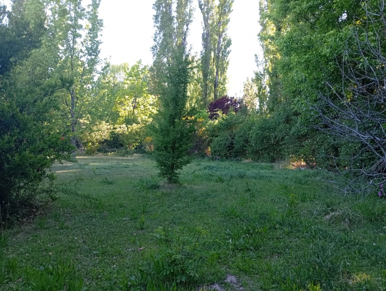 Propiedad en Villa 25 de Mayo: casa con amplio terreno