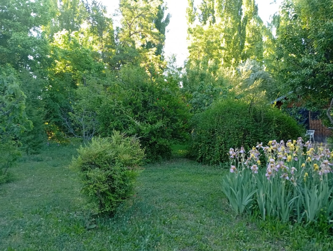 Propiedad en Villa 25 de Mayo: casa con amplio terreno