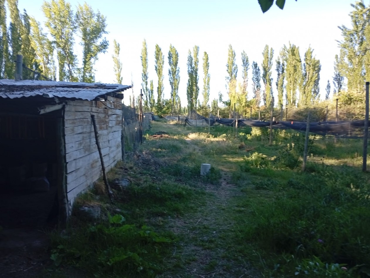 Propiedad en Villa 25 de Mayo: casa con amplio terreno