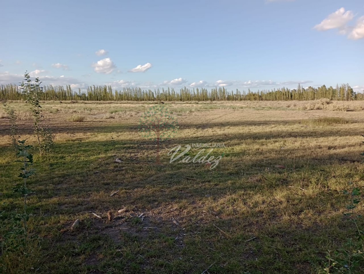 LOTE 5000m2 - CALLE ORTUBIA - HERMOSA UBICACION!