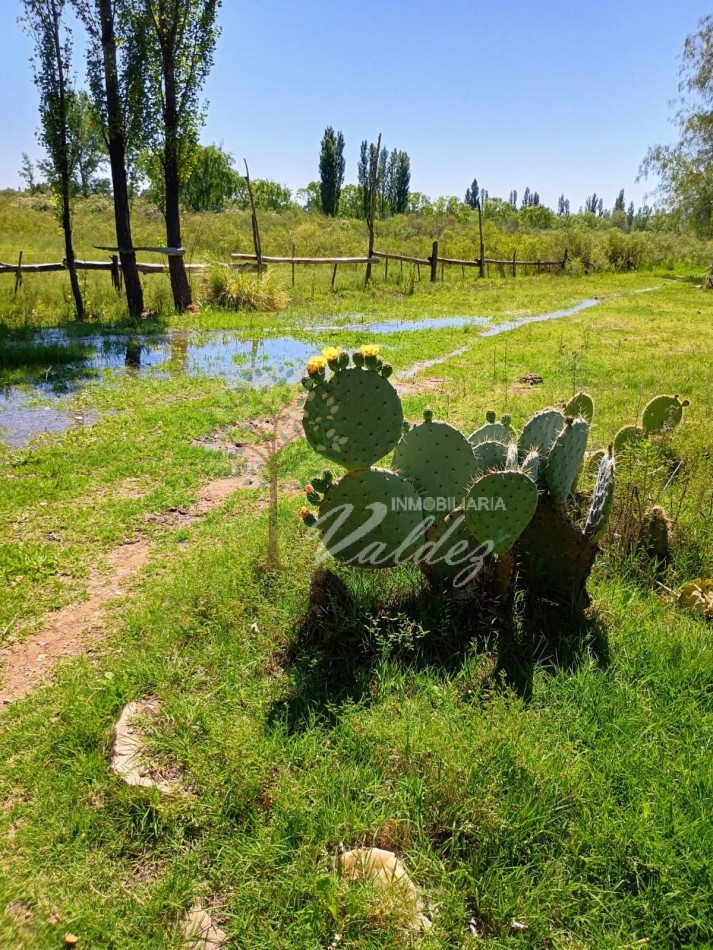 HERMOSA PROPIEDAD EN CUADRO BENEGAS!
