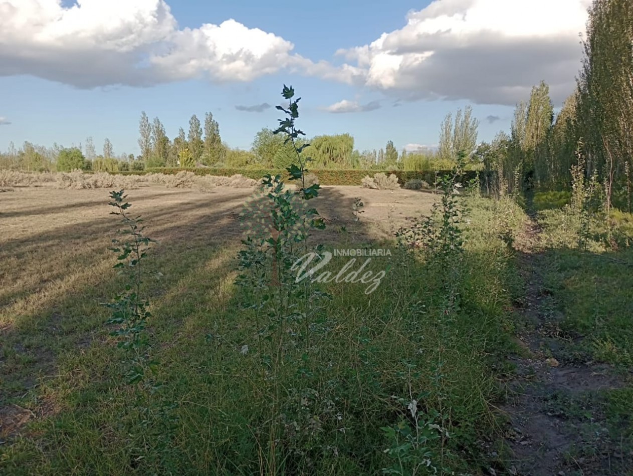 LOTE 5000m2 - CALLE ORTUBIA - HERMOSA UBICACION!