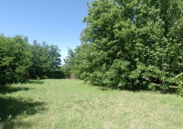 PROPIEDAD EN EL DISTRITO DE JAIME PRATS