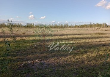 LOTE 5000m2 - CALLE ORTUBIA - HERMOSA UBICACION!