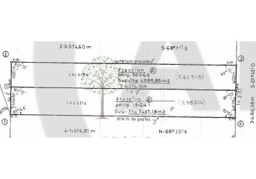 OPORTUNIDAD! LOTE 17.000m2 CALLE TOLEDANO 