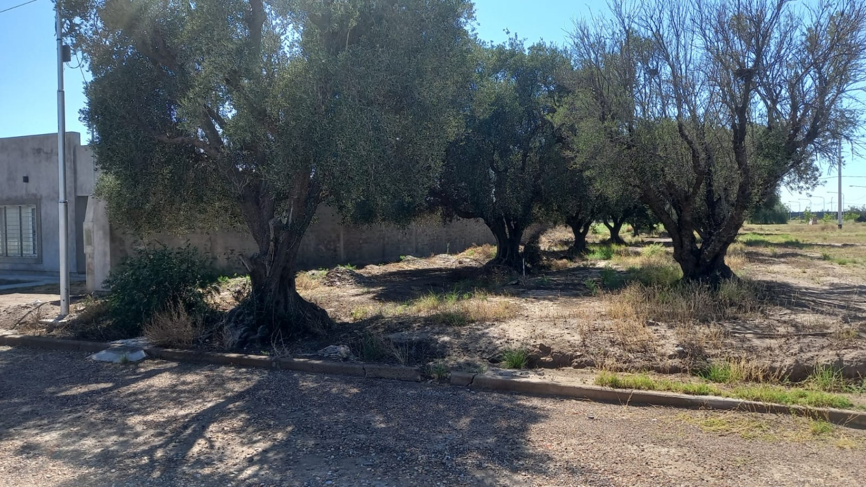 Lote disponible en Loteo Tirasso
