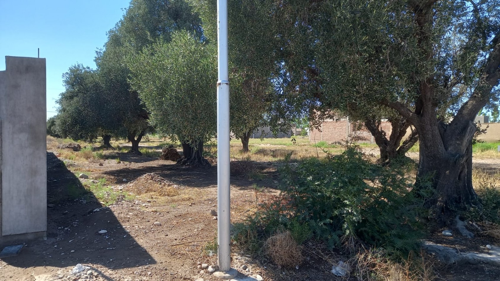 Lote disponible en Loteo Tirasso